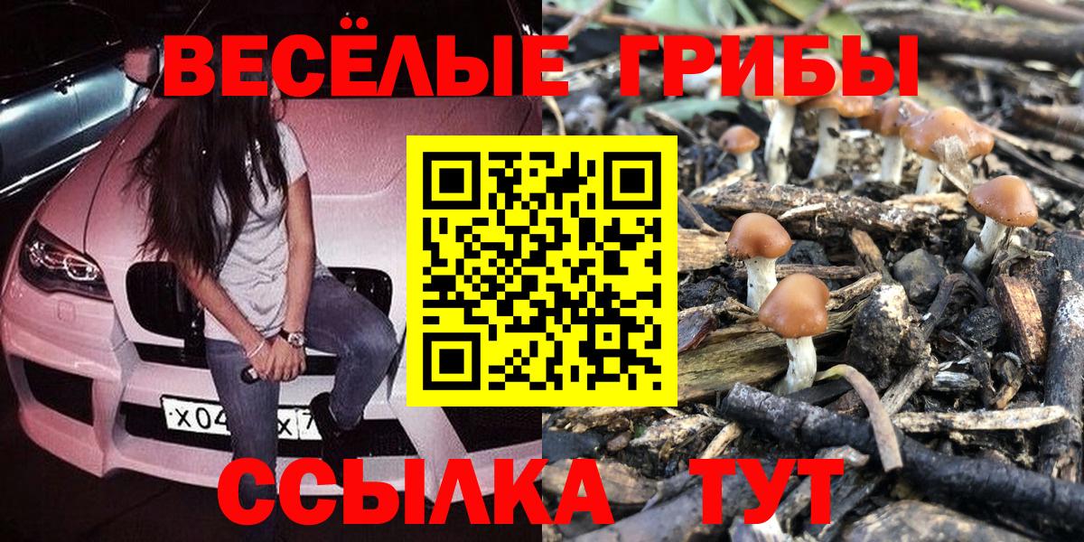 Галлюциногенные грибы ЛСД Губаха